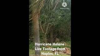 Footage of Helenes Powerful winds in Southern Flordia [upl. by Nelehyram]