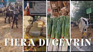 Fiera del plurpremiato formaggio di capra🐐 il Cevrin di Coazze🏆 Esplora i Sapori del Piemonte 🧀🍷 [upl. by Atilegna]