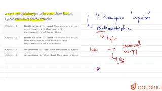 Assertion They were cyanobacteria like organisms which in ancient time added oxygen to [upl. by Ganley]