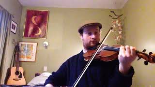 The Blackthorn Stick  Day 325  366 Days of Fiddle Tunes [upl. by Hnoj]