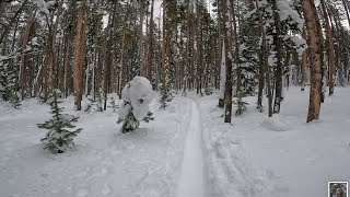 Lodgepole Love Grand County Colorado [upl. by Coffee]