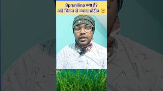 Spirulina kya hai shortsvideo short fact spirulina [upl. by Lanahtan]