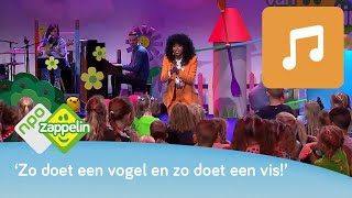 IN DE MANESCHIJN  Kinderliedjes zingen met Fenna  NPO Zappelin [upl. by Hakvir864]