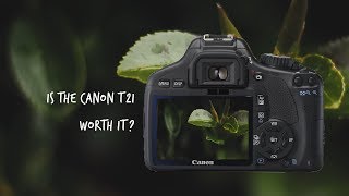 Canon T2i 550d Video Test [upl. by Tonjes]