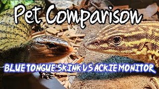 Ackie Monitor VS Blue Tongue Pet Comparison [upl. by Cecil]