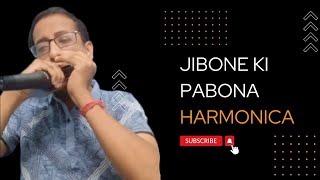 Jibone ki Pabona  Harmonica Cover  Soumendra [upl. by Avika]