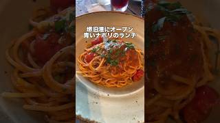 【堺市ランチ】話題の青いナポリ行ってみた 堺市グルメ 堺市ランチ 青いナポリ 飯テロ 大阪グルメ [upl. by Goddord]