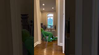 FROG ATTACKS TODDLER Toddler Gets Even shorts [upl. by Edrahc]