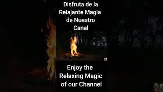 Desconecta y Relájate Sonidos de Naturaleza y Mar en la Noche meditación relax relaxing asmr [upl. by Llemor442]