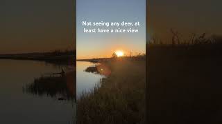 Eastern shore sunset easternshorecollective camospace deerhunting sikadeer sunset timelapse [upl. by Linskey916]