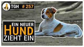 Ein neuer Hund zieht ein  Was ist die ersten Wochen wichtig  TGH 257 [upl. by Ahsart416]