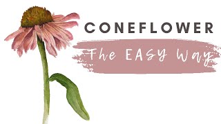 Coneflower Tutorial for Beginners [upl. by Celio]