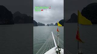 Beautiful Halong Bay Cruise Vietnam 🚢  Travel  Cruise  Travel Shorts  Cruise Shorts shorts [upl. by Iat109]