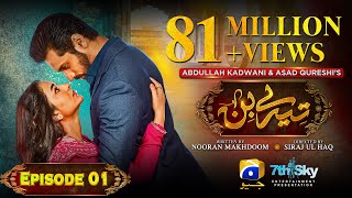 Tere Bin Episode 01  Eng Sub  Yumna Zaidi  Wahaj Ali  28th December 2022  HAR PAL GEO [upl. by Derna]