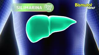¿Problemas de hígado graso  Bismutol Hepat [upl. by Gurtner]