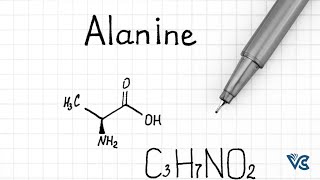 Alanine Amino Acid alanine protein biomolecule podcast aminoacids biomolecules protein [upl. by Mani]