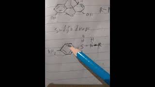 Basic pharmacophore of sulfonamide antibacterial [upl. by Yelik]