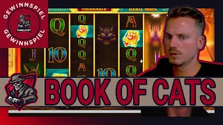 ⚠️ GEWINNSPIEL⚠️BOOK OF CATS  Der Katzenfänger von YT🐈 Freegames High Stakes 🎰  Casino Highlights [upl. by Eynttirb]