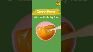 Carrot Puree for 6 months babies  babyfood baby babyrecipes [upl. by Ellerihs]