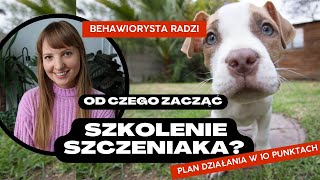 SZKOLENIE SZCZENIAKA  od czego zacząć Plan działania w 10 punktach [upl. by Pytlik]