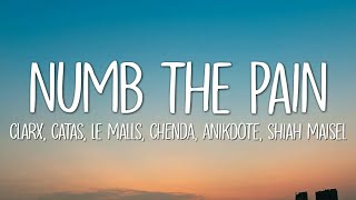 Clarx Catas Le Malls CHENDA Anikdote  Numb The Pain Lyrics ft Shiah Maisel [upl. by Artimid]