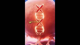 Monoclonal antibodies👍👍 [upl. by Aelat516]