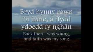 Cerdded Mlaen  Tecwyn Ifan geiriau  lyrics [upl. by Eylrac]