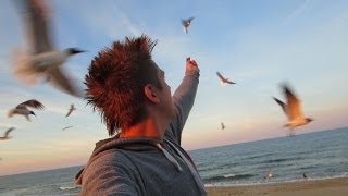 Feeding The HomelessBirds [upl. by Ahsircal]