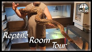 2024 Reptile Room Tour [upl. by Onitram]