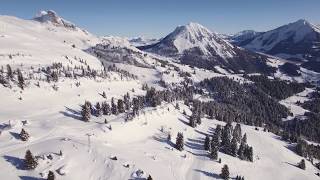 Leysin Les Mosses La Lecherette  Domaine skiable [upl. by Erdnaed]