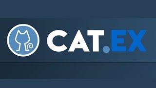 Обзор нового ICO Catex Token CATT [upl. by Ahsilrak806]