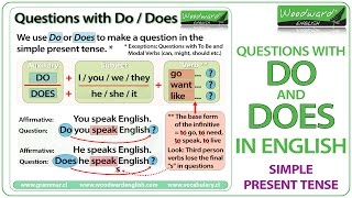 Do and Does in English  Simple Present Tense Questions [upl. by Lebasi]