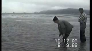 Hayes Oyster farm Tillamook Bay OR [upl. by Yirinec]