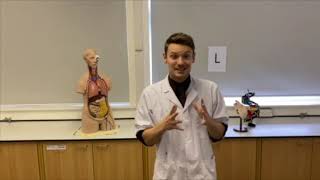 Ashington Academy Virtual open evening  Welcome to science [upl. by Romalda]