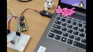 Interfacing 7Segment display with STM32F4 BlackPill  bare metal programming   Ubuntu [upl. by Rainger695]