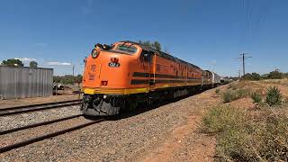 CLF2 4904 amp CLP12 LE Condobolin NSW Sat 02nd Nov 2024 [upl. by Niltiac698]