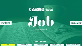 « Job »  LAncien Testament  La Sainte Bible audio VF Complète [upl. by Gylys]