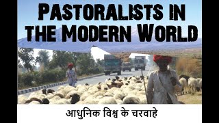 Pastoralists in the Modern World आधुनिक विश्व के चरवाहे [upl. by Oriaj912]