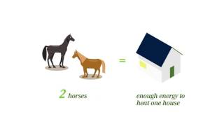 Fortum HorsePower Energy from manure [upl. by Lindgren]