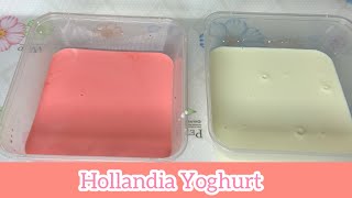 How To Make Hollandia Yogurt At Home [upl. by Sutit144]