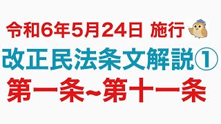 改正民法条文解説 初学者中級者 第1条から第11条 [upl. by Yluj]