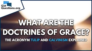 What are the doctrines of Grace  The acronym TULIP and Calvinism explained  GotQuestionsorg [upl. by Morrie]