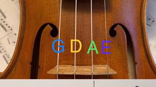 Learn to Read Notes for Violin in Less than 5 Minutes [upl. by Ozne]