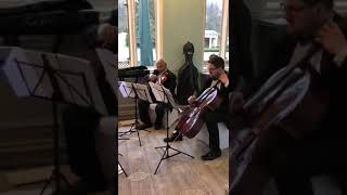 String Quartet performs Toxic by Britney [upl. by Trillbee]