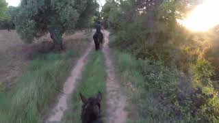 Ride With Me On Our First Ride In Spain  GoPro Helmet Cam [upl. by Naegem]