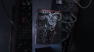 Moogx2 amp eurorack percussion modularsynth mother32 electronicmusic synthesizer moogsynth synth [upl. by Ayoj]