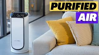 This Air Purifier is Perfect amp Powerful Rowenta Intense Pure Air Connect XL  Review 2024 [upl. by Naejamron]