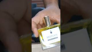 DIY Perfume Making at Home  Easy amp Affordable Recipe  shorts perfume youtubeshorts shortsviral [upl. by Stockton712]