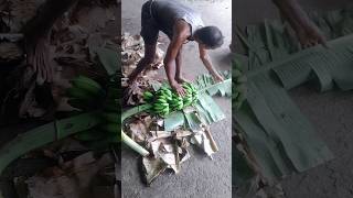 Banana 🍌 packing bananas ravulapalem [upl. by Judsen]