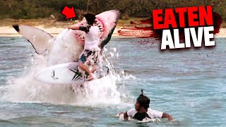 Eaten Alive By Sharks MARATHON [upl. by Eynahpets394]